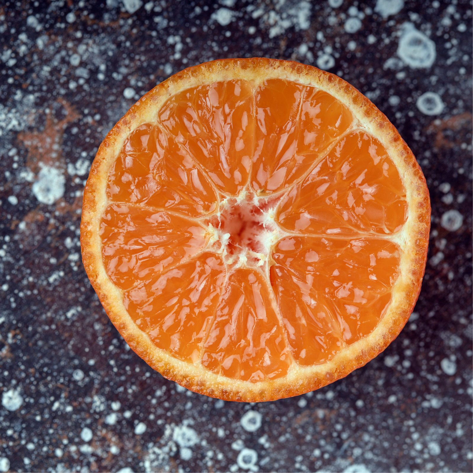 FRAGRANCE HERBAL CANDLE - RIPE ORANGE - – ao.