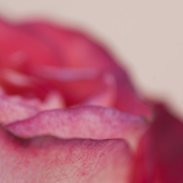 FRAGRANCE HERBAL DIFFUSER - MOOD FOR  LOVIN' -